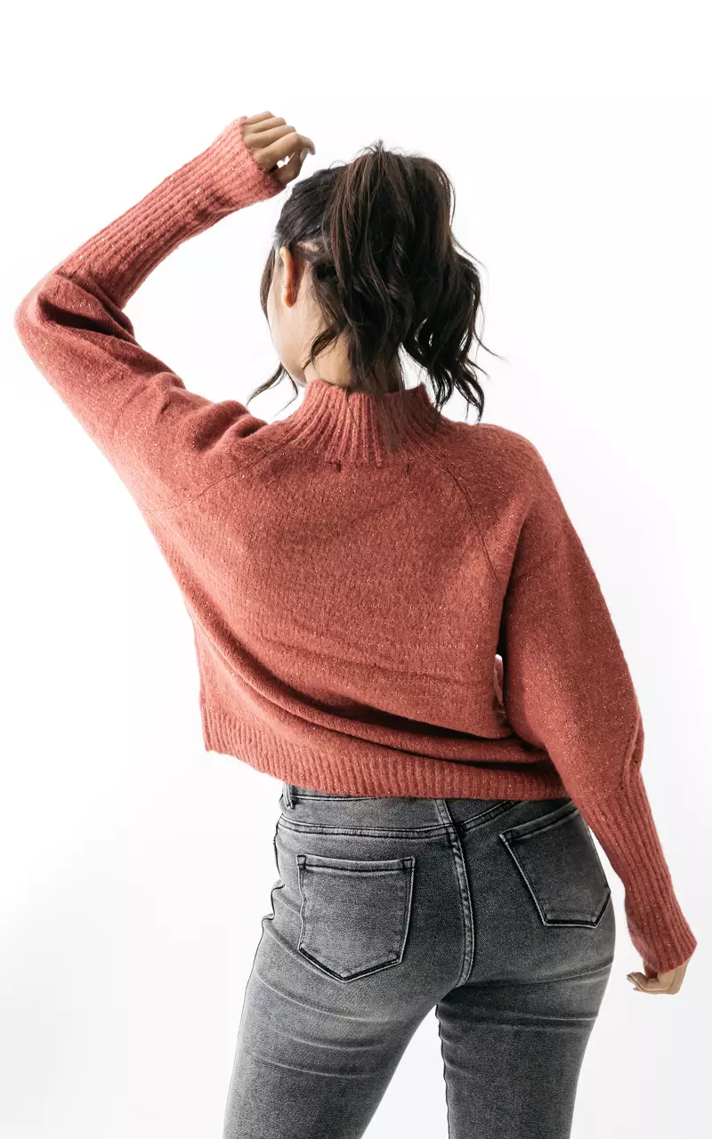Turtleneck sweater with glitter details Rust Brown