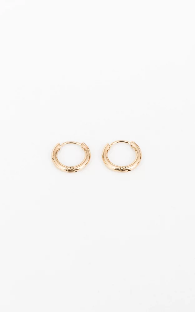 Small stainless steel earrings Gold