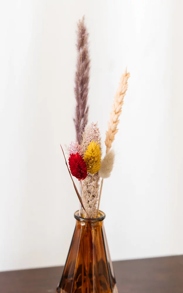 Dried flowers Multicolor