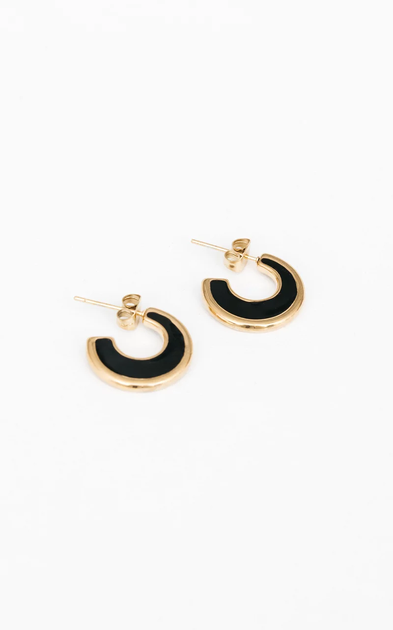 Stainless steel earrings Black Gold
