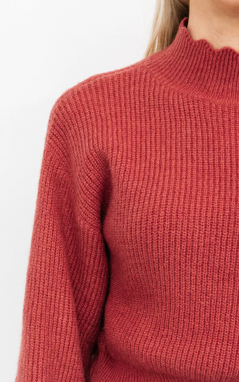 Niedlicher Pullover mit Stehkragen Rot