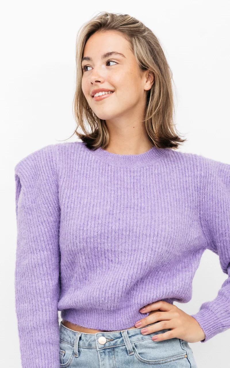 Knitted sweater with round neck Purple