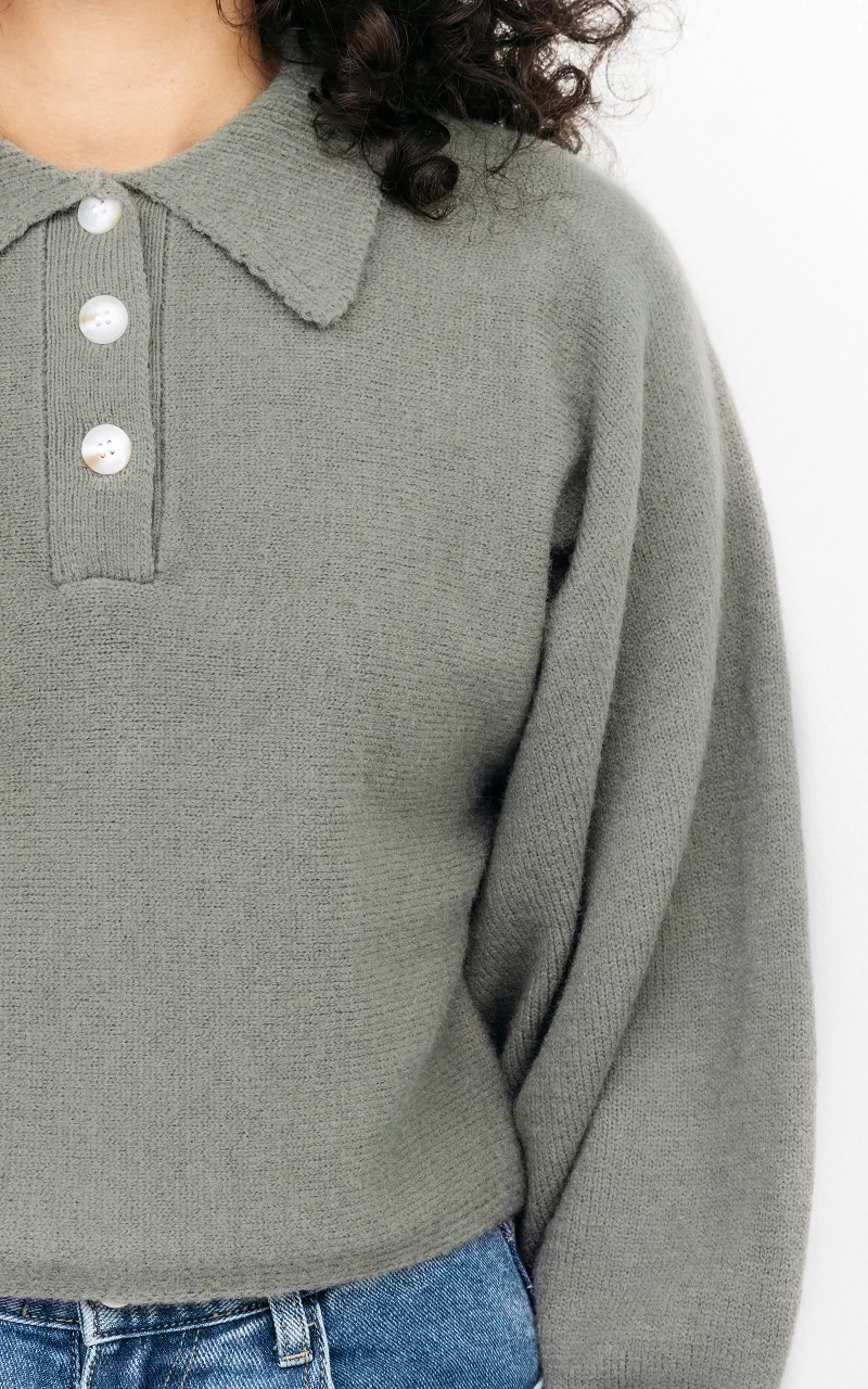 Pullover mit Polo-Kragen und Knöpfen Grün