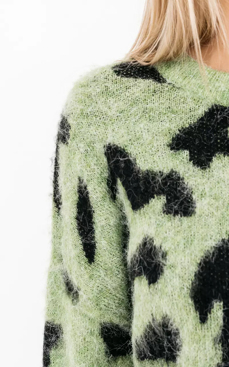 Sweater with round neck Light Green Black