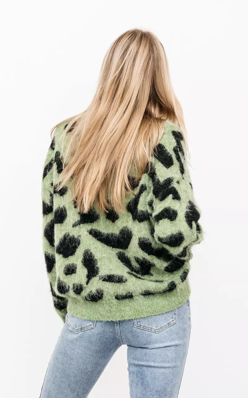 Sweater with round neck Light Green Black