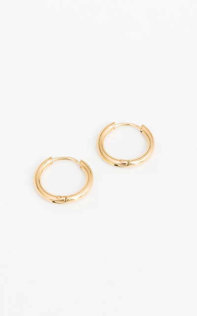 Small earrings of stainless steel Gold