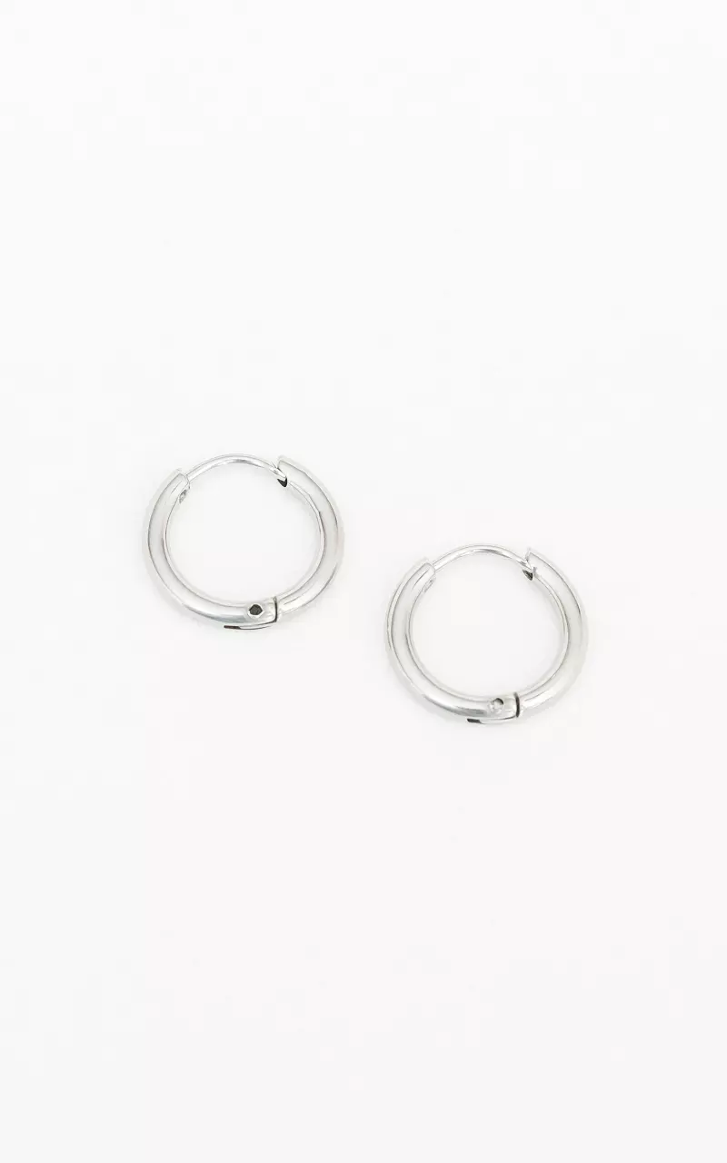 Small earrings of stainless steel Silver