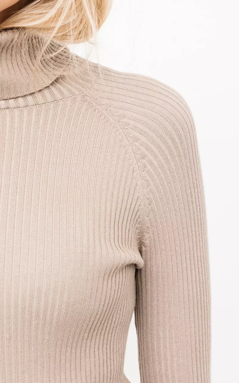 Ribbed turtleneck sweater Beige