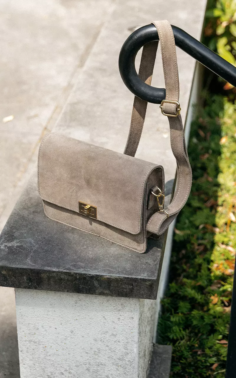 Leather bag with gold-coated details Taupe