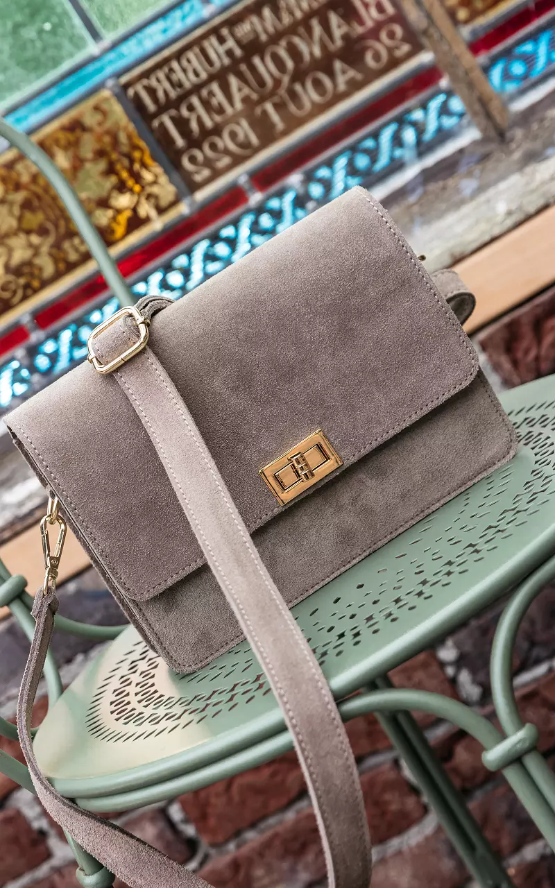 Leather bag with gold-coated details Taupe