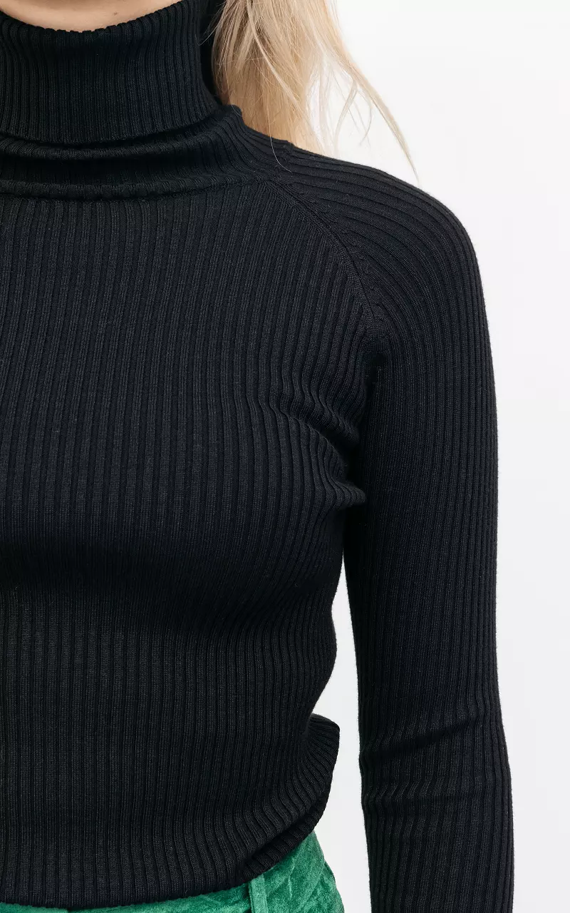 Basic ribbed turtleneck sweater Black