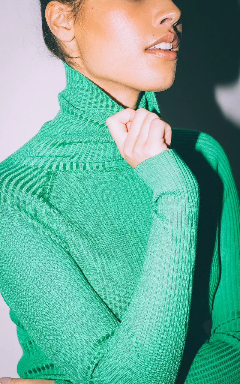 Basic ribbed turtleneck sweater Light Green