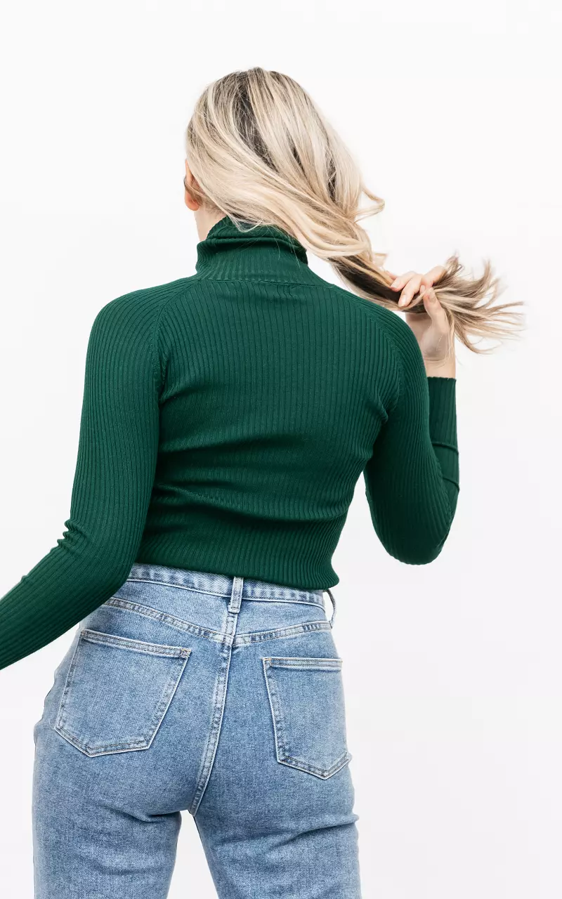 Basic ribbed turtleneck sweater Dark Green