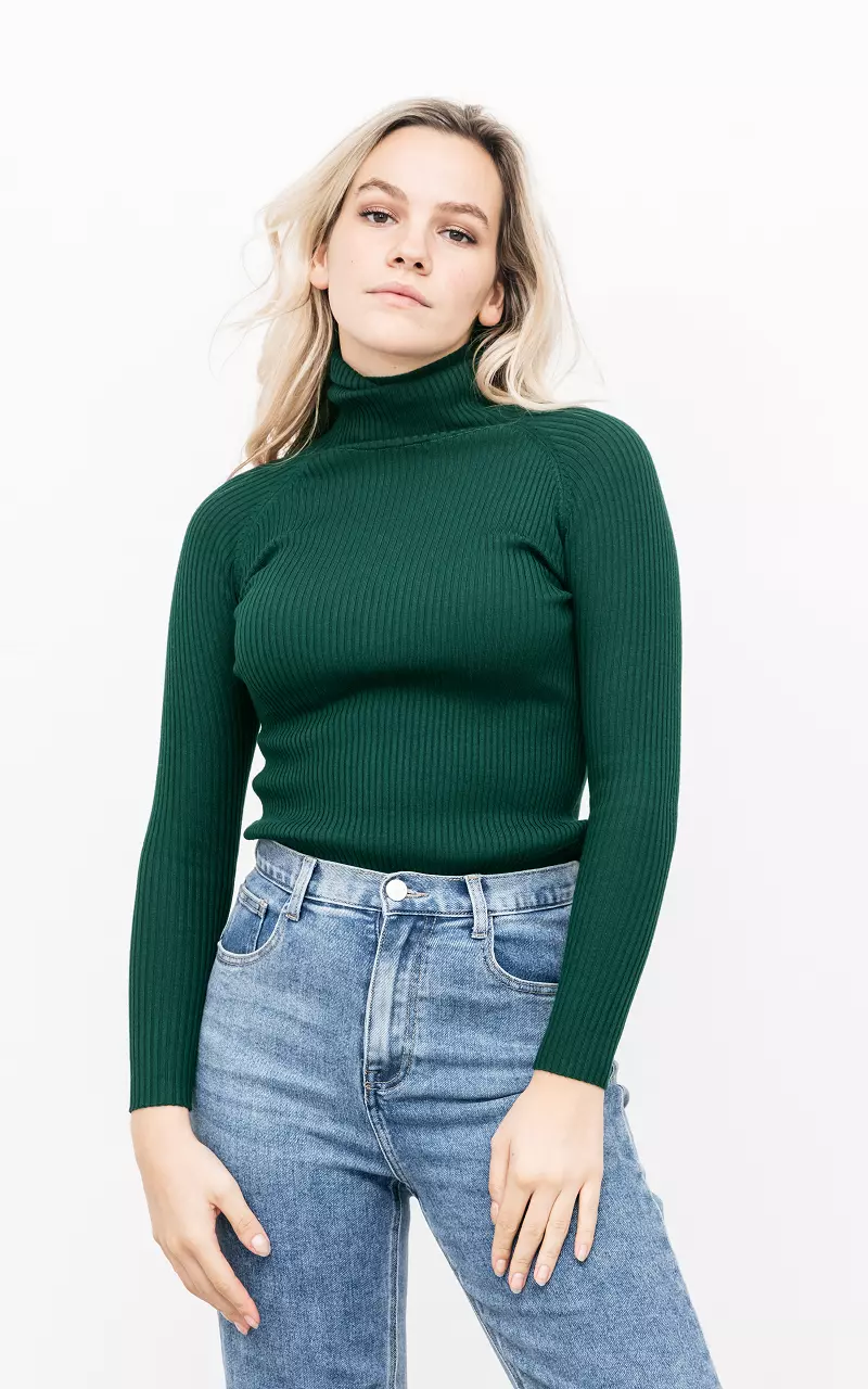 Basic ribbed turtleneck sweater Dark Green