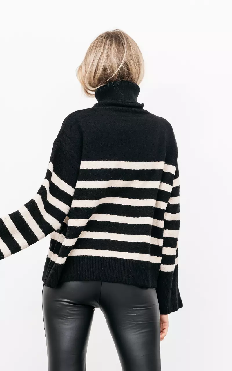 Oversized sweater with turtleneck Black Beige