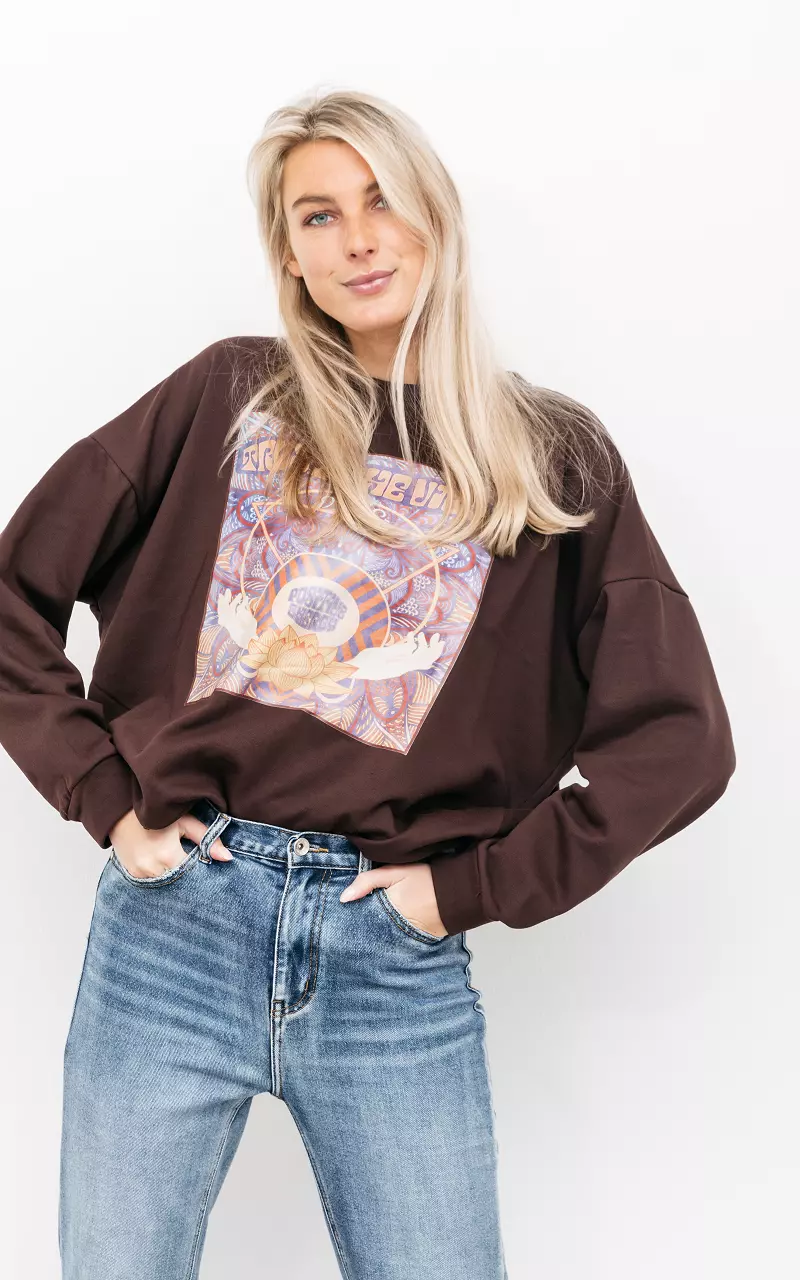 Round neck sweater with print Brown Purple
