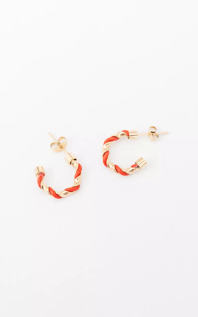 Stainless steel earrings Gold Red