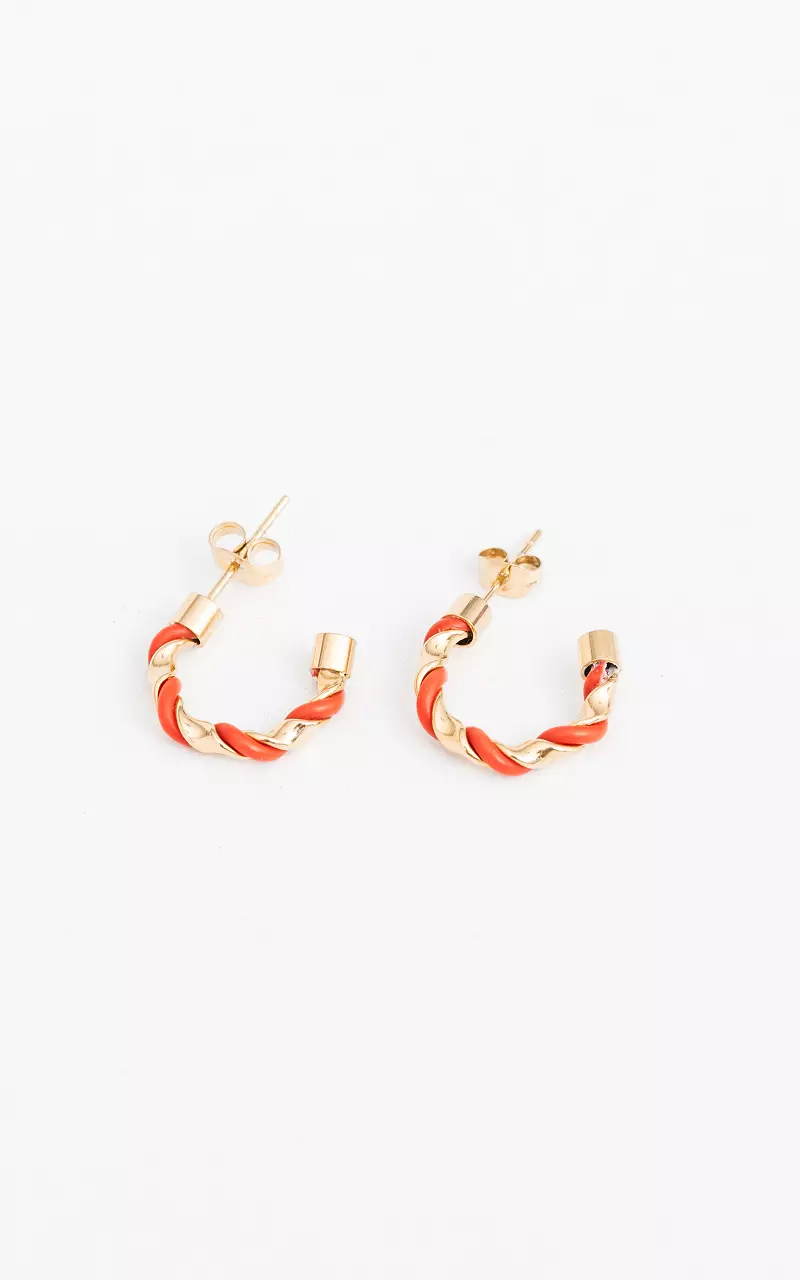 Stainless steel earrings Gold Red