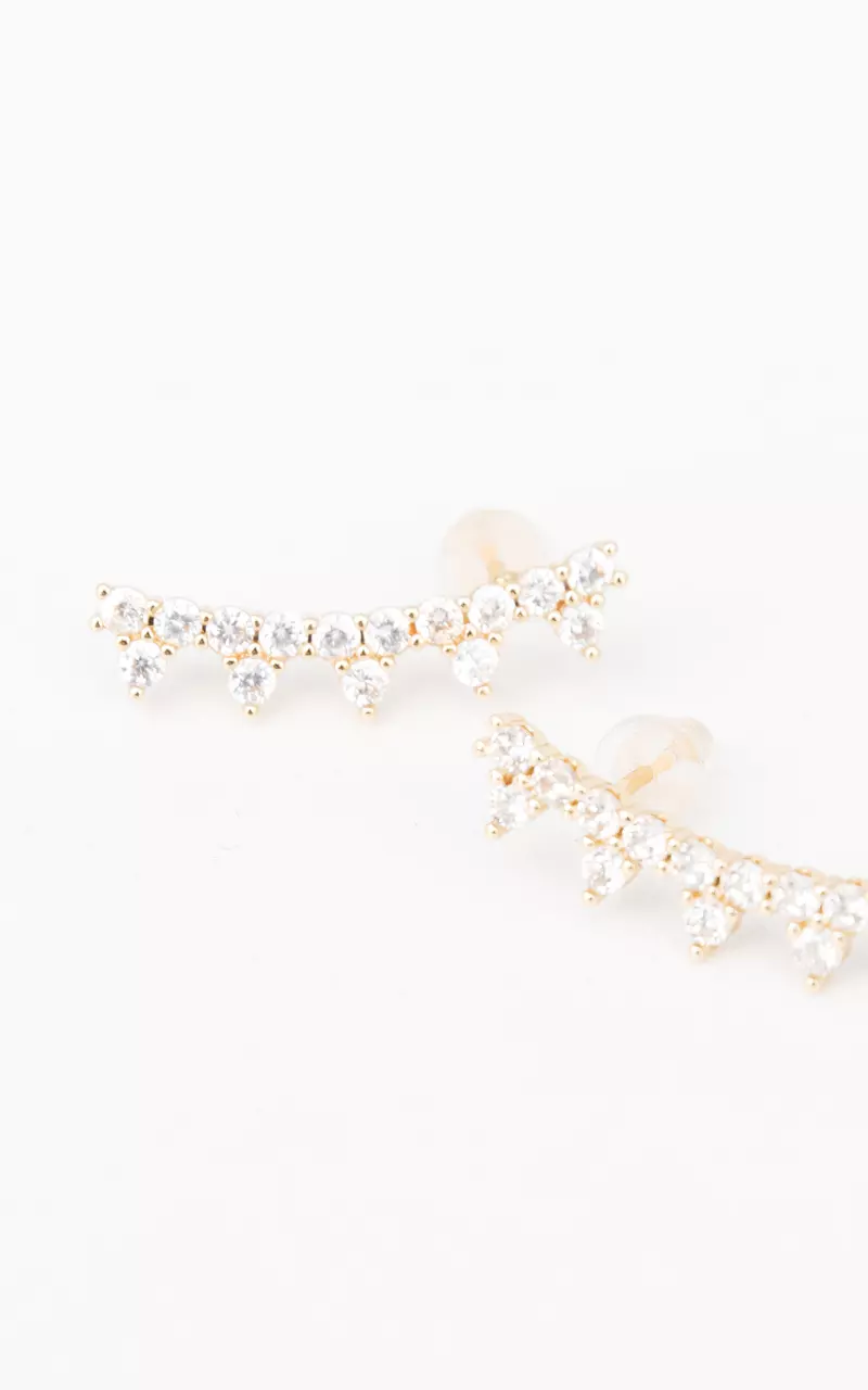 Stainless steel earrings Gold