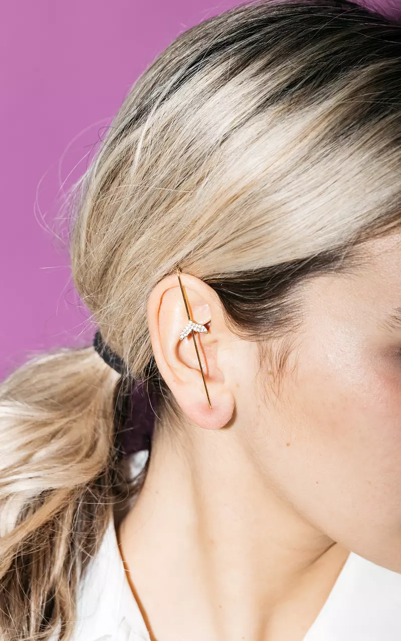 Stainless steel single earring Gold