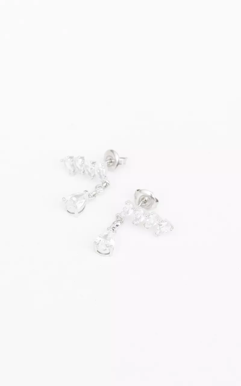 Stainless steel earrings with beads Silver