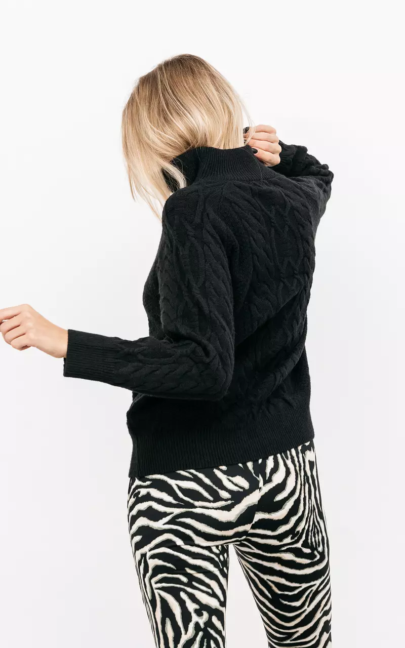Turtleneck sweater with half-zip  Black