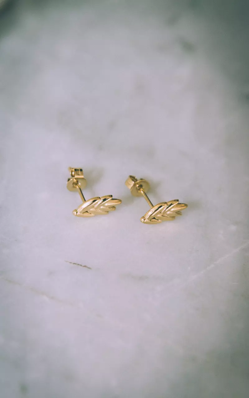 Stainless steel earrings with leaf Gold
