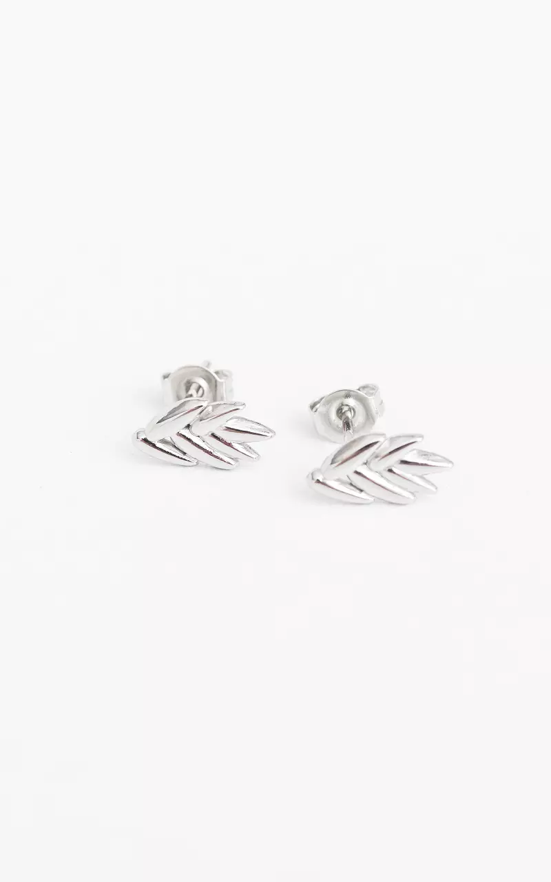 Stainless steel earrings with leaf Silver