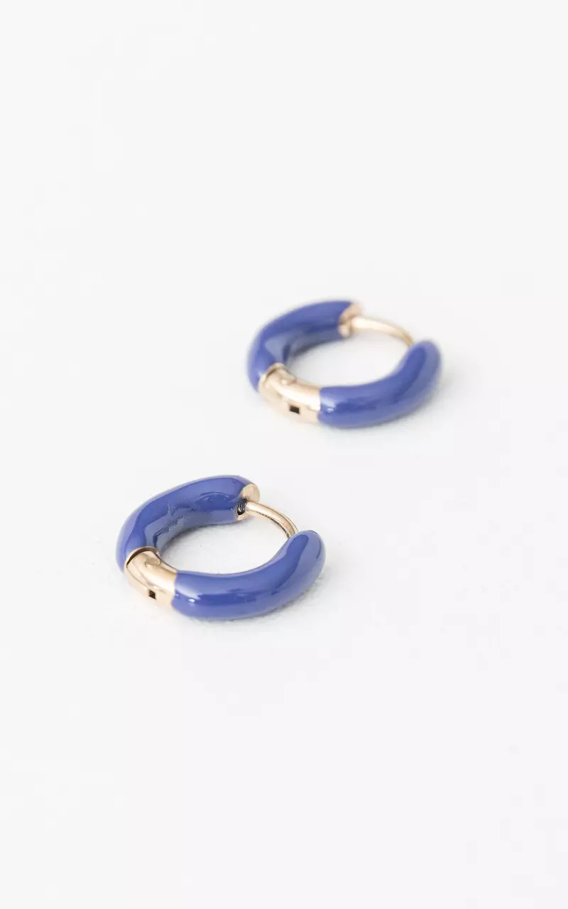 Stainless steel earrings Gold Blue