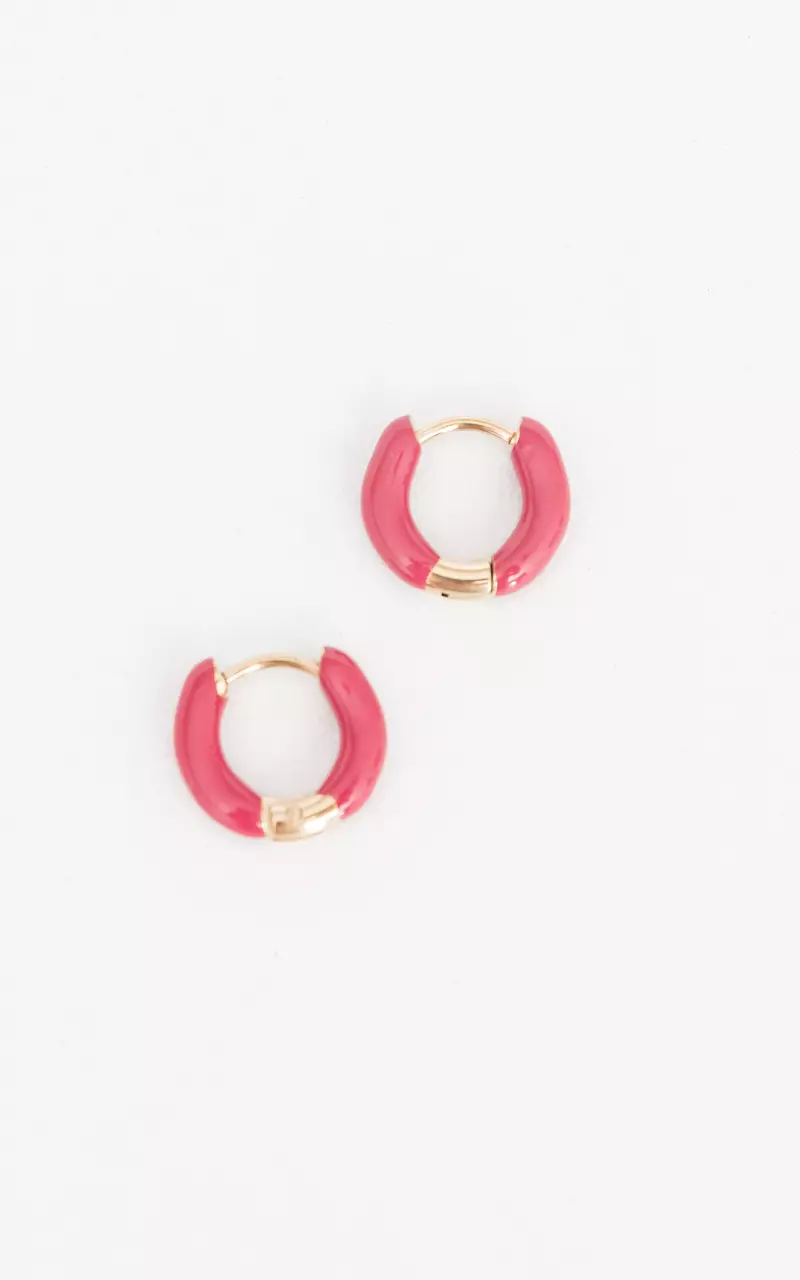 Stainless steel earrings Gold Pink