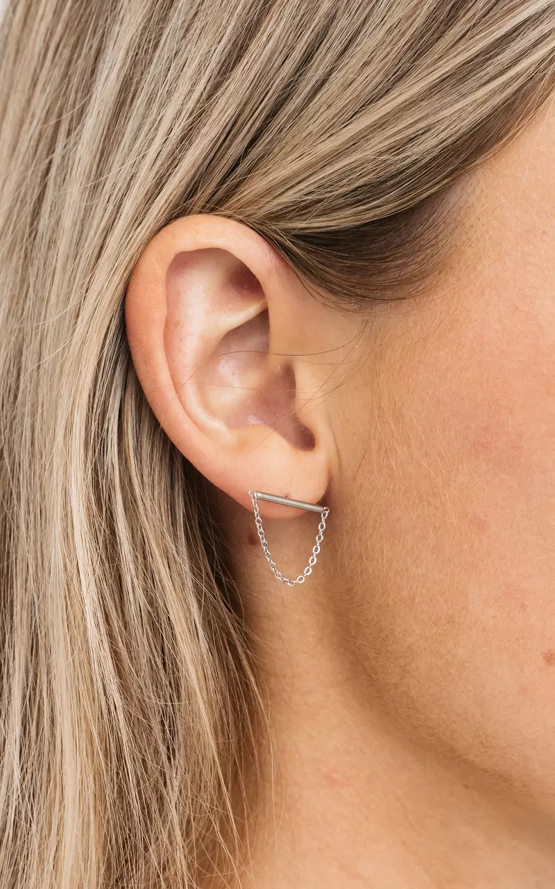 Stainless steel earrings Silver
