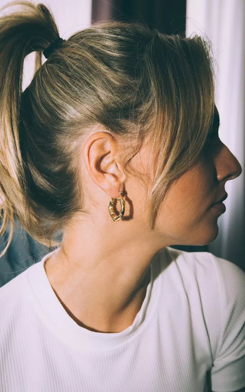 Stainless steel earrings Gold