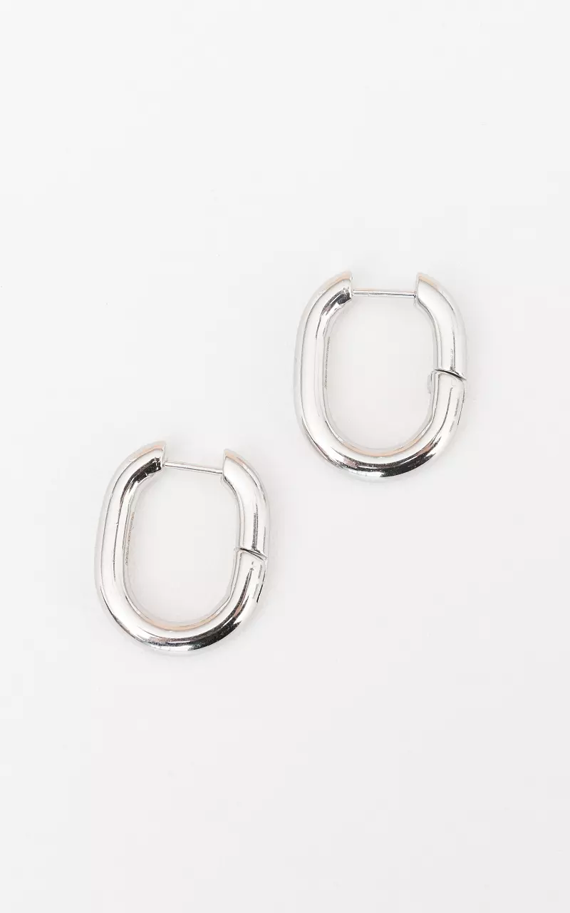 Stainless steel earrings Silver