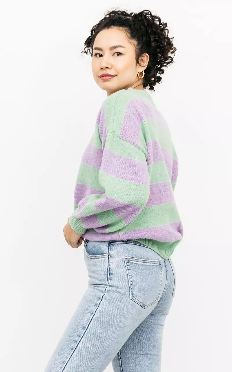 Striped sweater with round neck Light Green Lilac