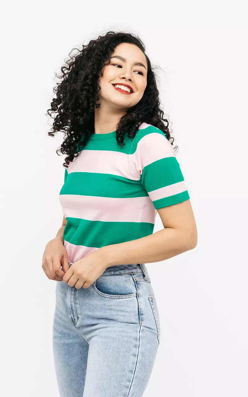 Striped t-shirt with round neck Green Light Pink