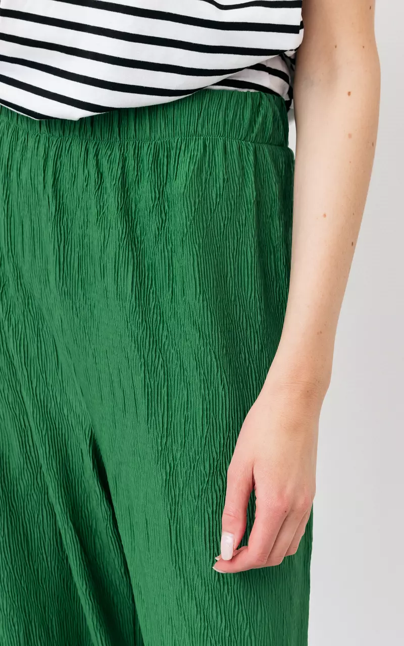 Pleated pants Green