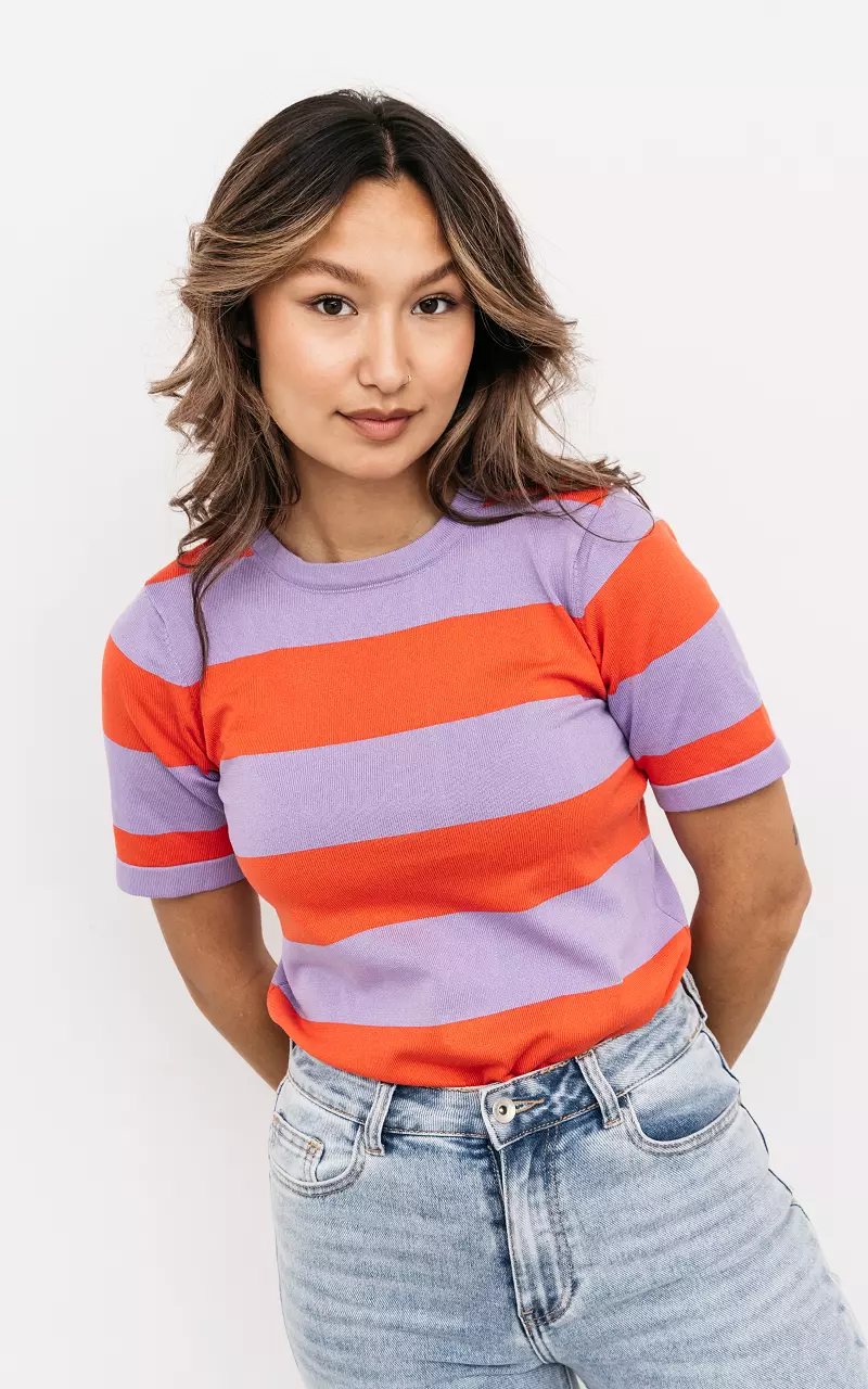 Striped t-shirt with round neck Red Purple