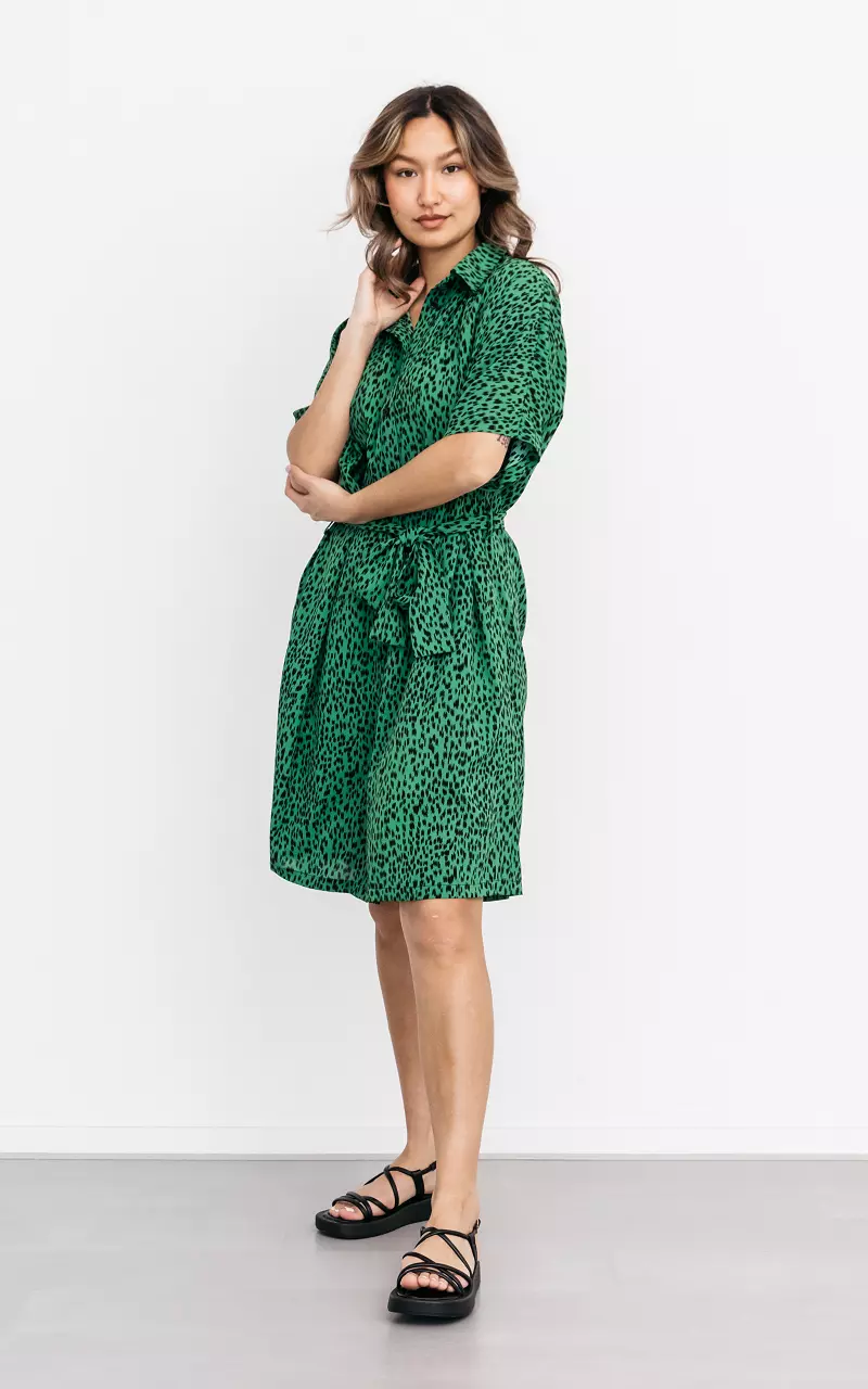 Midi dress with buttons Green Black