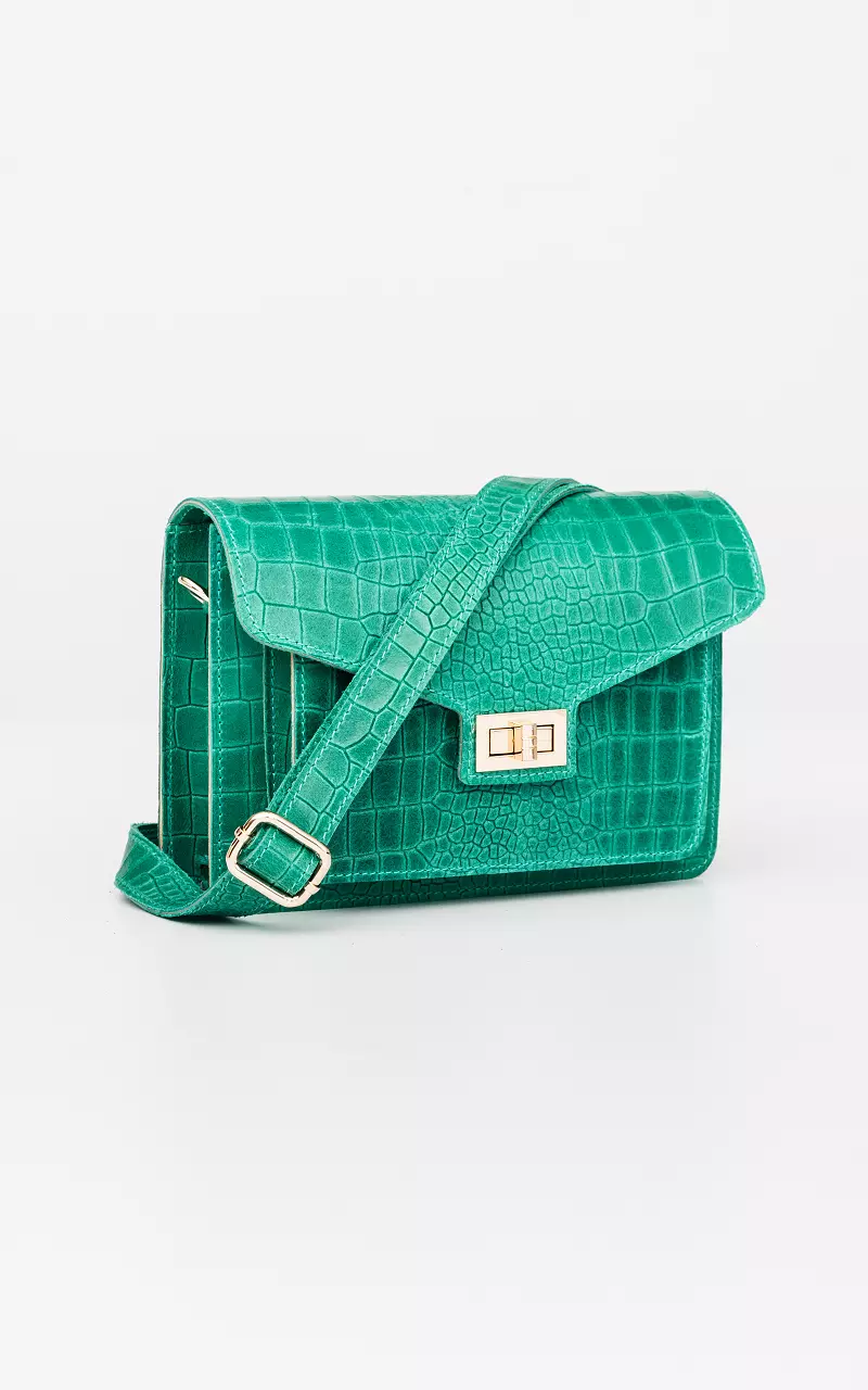 Leather bag with gold-coated details Light Green