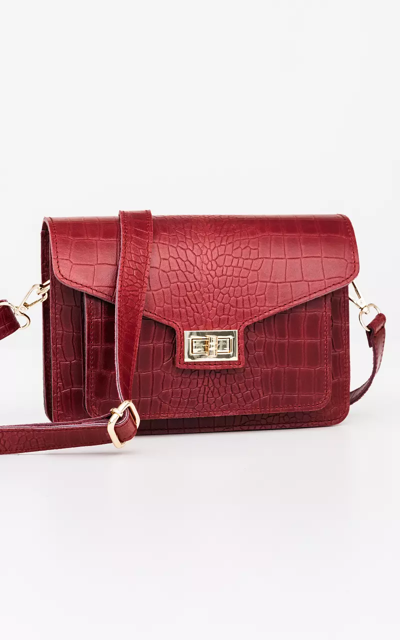 Leather bag with gold-coated details Dark Red