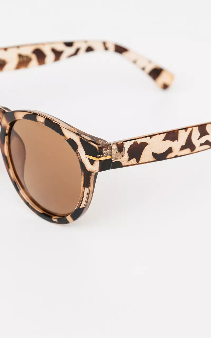 Sunglasses with gold-coloured details Light Brown Dark Brown