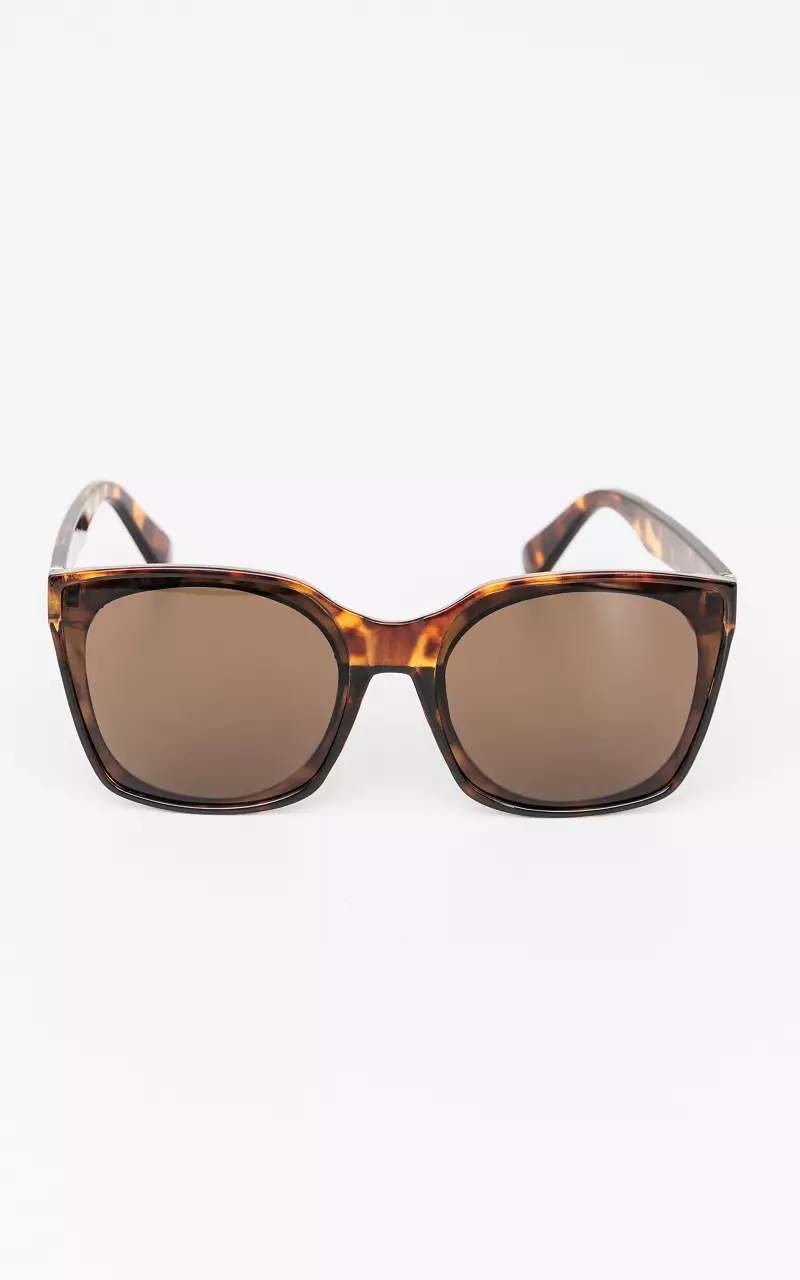 Sunglasses #85802 Dark Brown