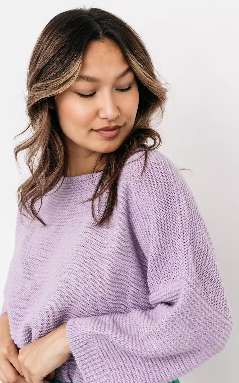 Sweater with round neck Lilac