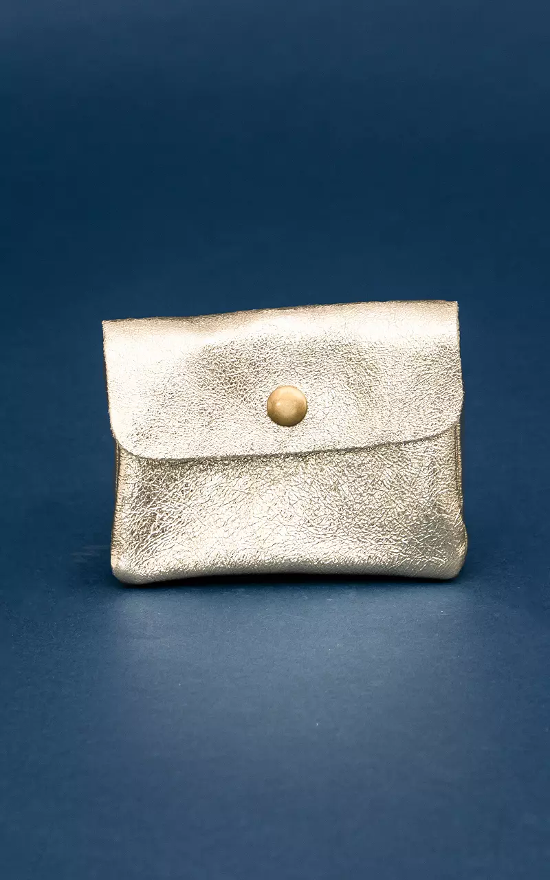 Metallic wallet with stud Champagne