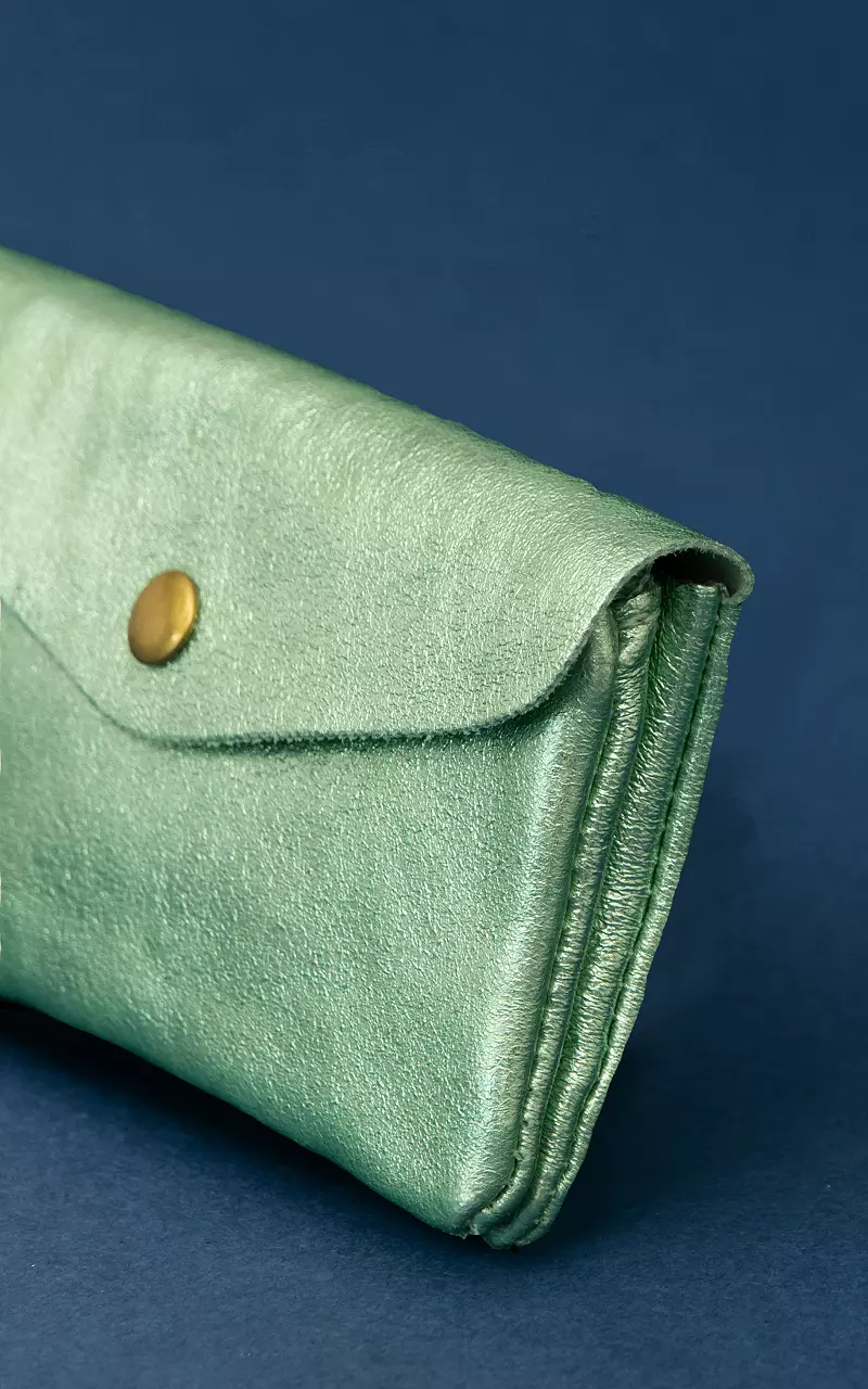 Metallic wallet with press button Mint