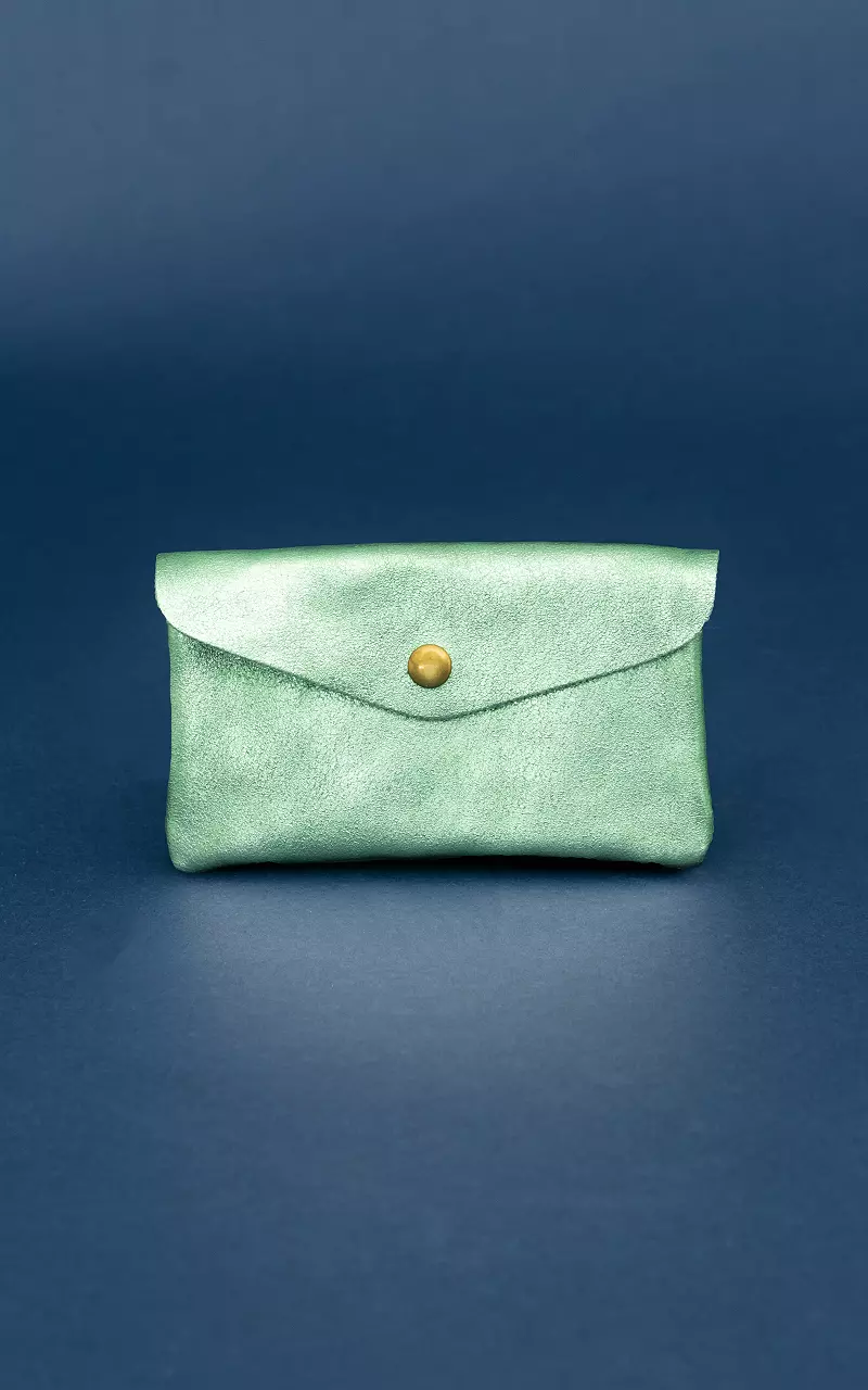 Metallic wallet with press button Mint