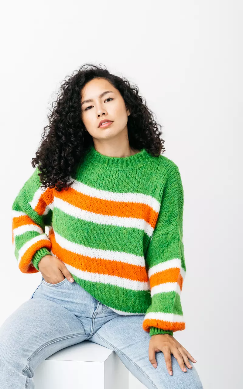 Round neck sweater with striped pattern Green Orange