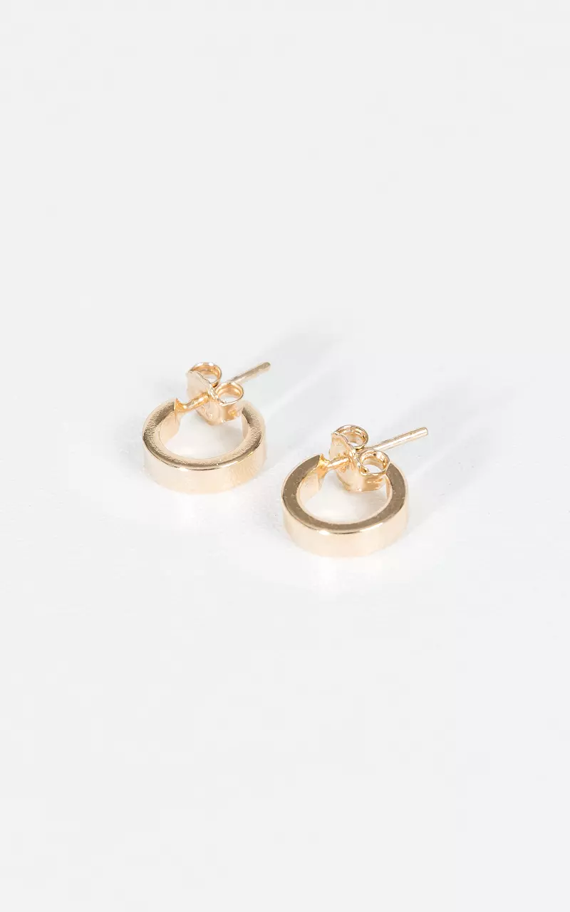 Gold filled earrings Gold