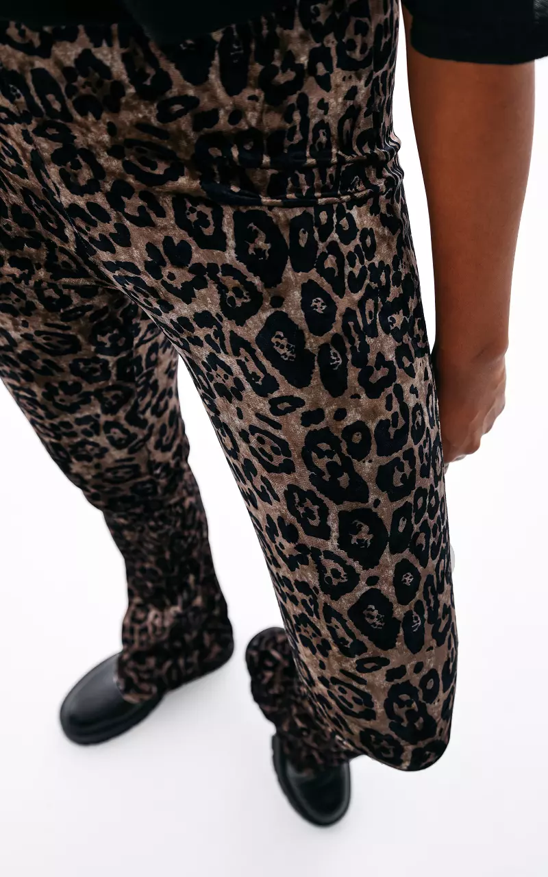 Hose im Samt-Look Leopard