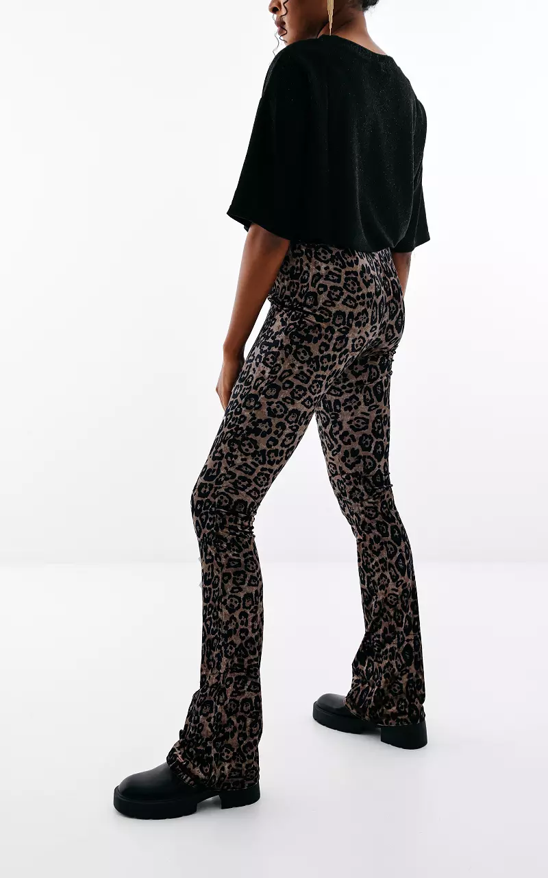 Velvet look flared broek met panterprint Leopard